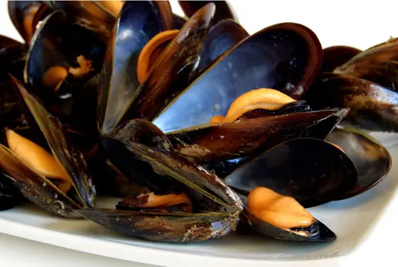 Mosselen in knoflooksaus